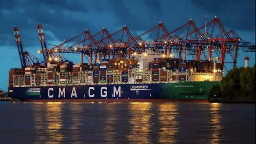 集裝箱船交易量和運價創(chuàng)紀錄,有人歡喜有人憂