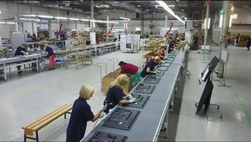 成都青白江 以開放產業為核心，推動集裝箱購銷高質量發展